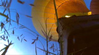 Tropical North Queensland: 1 Day in Paradise -- Local Knowledge. Alex Chomicz.