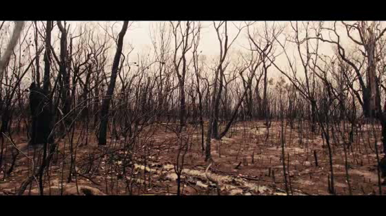Australian Red Cross: The Burnt Christmas Tree