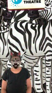 Young People’s Theatre: Star In AR, Zebra