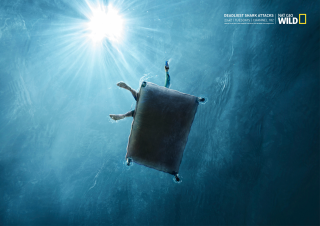 Natgeo wild: Deadliest shark attacks