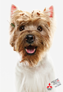 Mitsubishi: Dogs