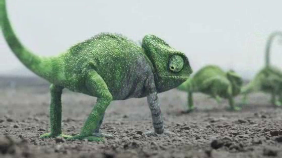 Volkswagen Jetta: Chameleon