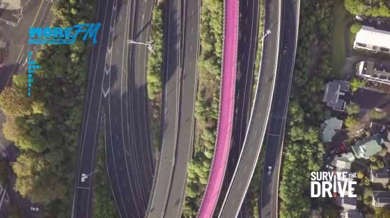 New Zealand Police: Surive the Drive