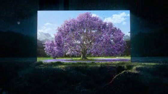 Sony Bravia: Window Into Daytime