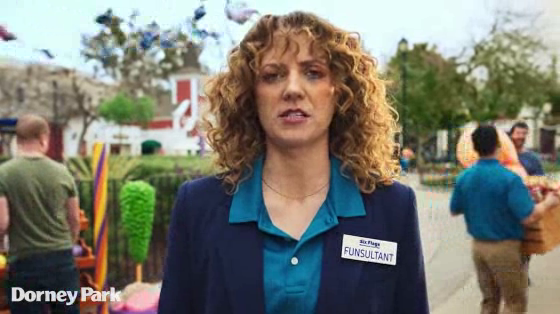 Six Flags: The Funsultant