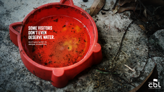 Lotes CBL: Some visitors don't even deserve water.