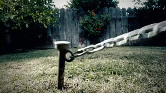 Harley-Davidson: Unchained