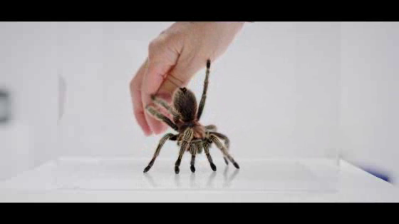 Samsung Nordic: Face Your Fear
