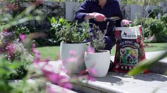 Baileys: Baileys Potting Mix - Turns Gardens Totally Green
