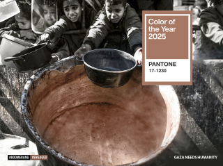 Great Cause: Color of the Year