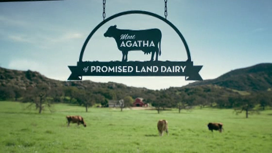 Promised Land Dairy: Exercise