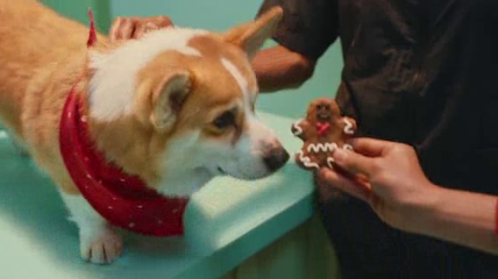 PetSmart: Make Merry Memories