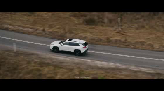 Toyota RAV4: Moonroof