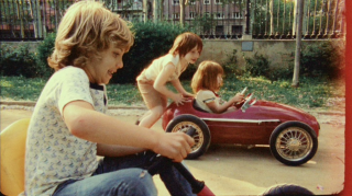 Volkswagen: Roof
