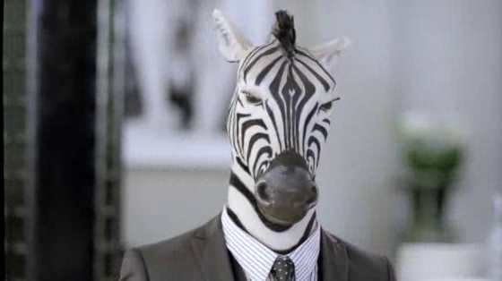 Savanna: Zebra