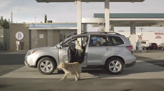Subaru: Road Trip Convenience Store