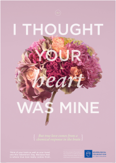 Neurological Foundation of New Zealand: True Love Comes from the Brain Fig.3