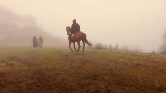 Klarna: Swedish Horse