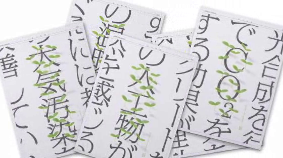 Green Newspaper: Green Newspaper