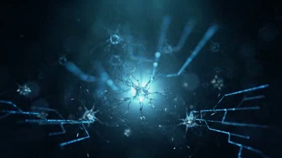 Dell: Synapse/Engineer