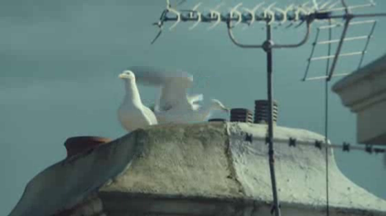 Saga: Hotel