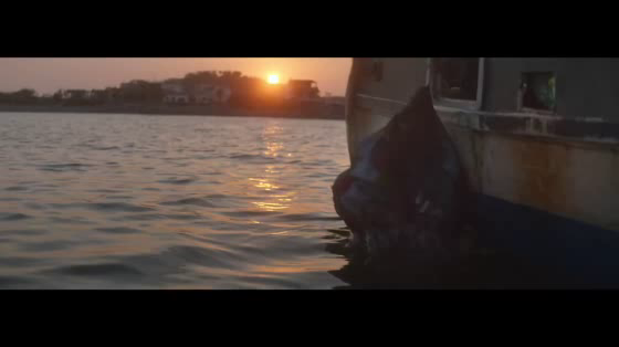 Corona: Plastic Fishing