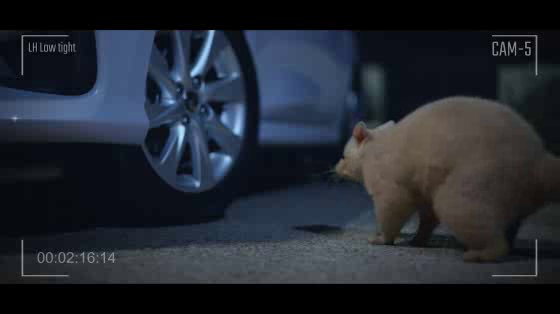 Toyota Certified Pre-Owned: Toyota Certified Pre-Owned: Doris
