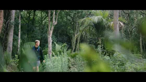 Chorus: Fraser - Conservation Genius