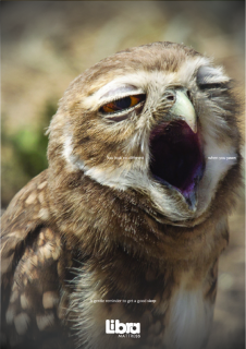 LIBRA MATTRESS: FACE OF A YAWN