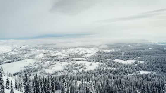 Steamboat Ski and Resort Corporation: Yonder