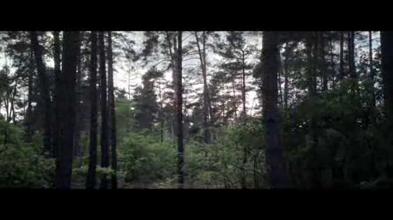 Audi: Rally