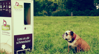GranataPet: Beacon #SnackBall - The first fitness ecosystem for dogs
