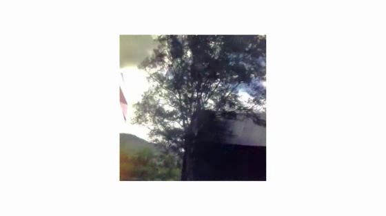 Airbnb: Hollywood & Vines