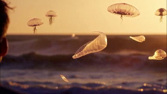 Oceana: Microplastics