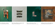 WWF - Public interest: The planet is talking - HELP