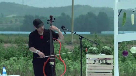 Zhaori Weipin: Veggie Beethoven