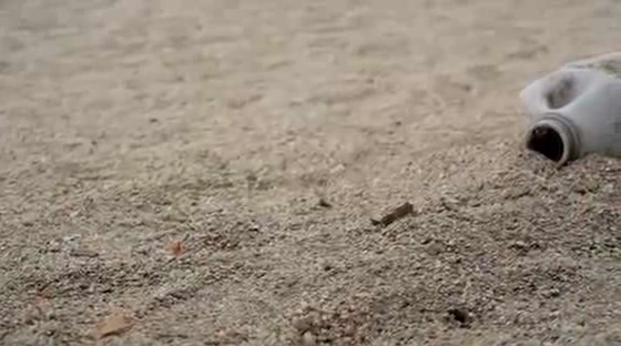 Keep Oakland Beautiful: Beach