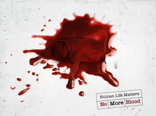 Great Cause: Human Life Matters