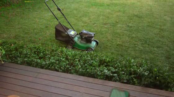 nib: nib: Gardening