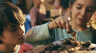 Clorox: Clean & Healthy Home: Classroom