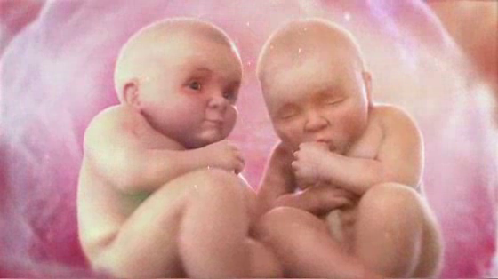 Molto: Molto Babies
