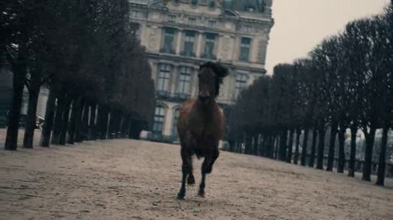 LONGCHAMP: The Encounter