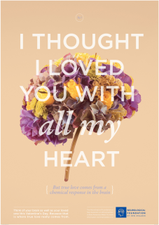Neurological Foundation of New Zealand: True Love Comes from the Brain Fig.2