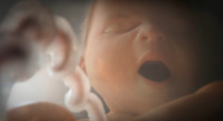The British Heart Foundation: Fight for Every Heartbeat