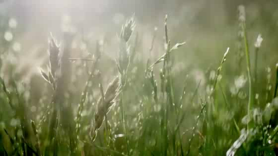 Jalna Yoghurt: Don't mess with Mother Nature