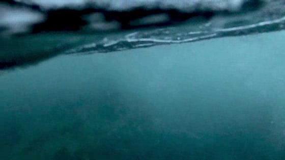 Drowning Prevention Week: Be A Lifesaver