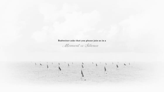 Budweiser: A Moment of Silence For The Fallen on Memorial Day