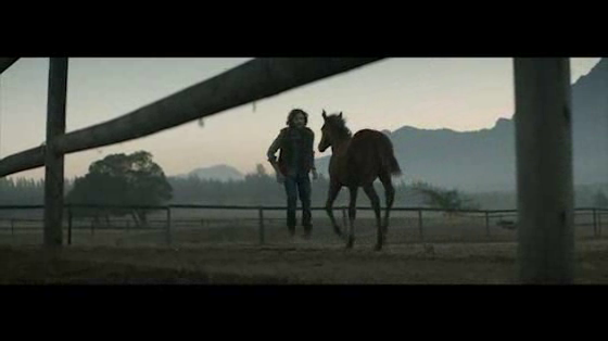 Nedbank: Reins