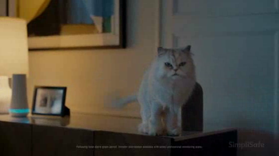 SimpliSafe: Changing of the Guard