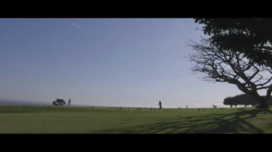 Volkswagen: Run Here